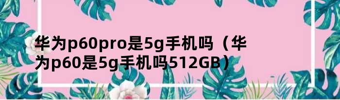 华为p60pro是5g手机吗（华为p60是5g手机吗512GB）
