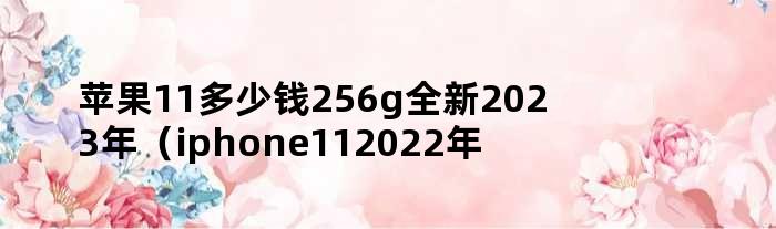 苹果11多少钱256g全新2023年（iphone112022年大概多少钱）