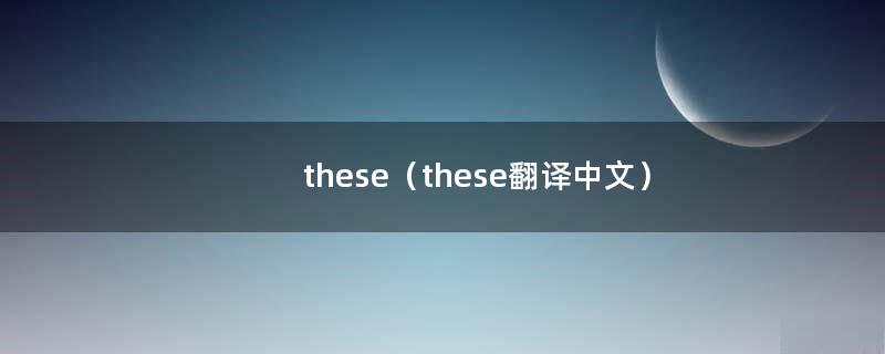 these（these翻译中文）